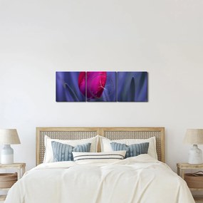 Obraz pupete tulipánu (s hodinami) (90x30 cm)