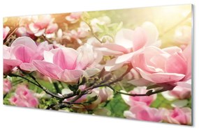 Obraz plexi Kvety 120x60 cm