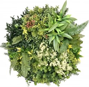 MI Panel farebných rastlín HARMONIA I (pr. 50cm)