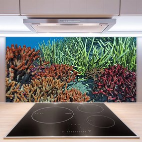 Sklenený obklad Do kuchyne Koralový útes príroda 120x60 cm