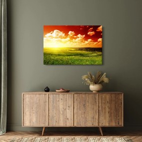 Obraz letnej lúky (90x60 cm)