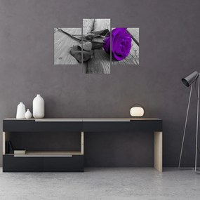 Obraz - Fialová ruža so zelenou stonkou (90x60 cm)