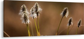 Obraz - Travina (120x50 cm)