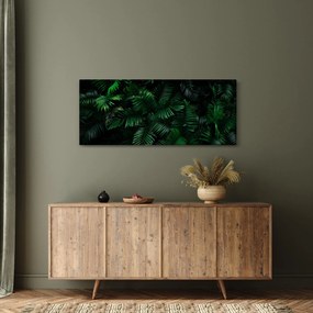 Obraz - Tropické papradie (120x50 cm)