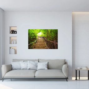 Obraz - Schody v prírode (90x60 cm)