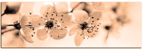 Obraz na plátne - Malé kvety na vetve - panoráma 5173FA (120x45 cm)