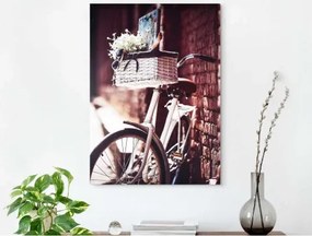 Obraz na plátne Bicykel s košíkom, 50x70 cm%