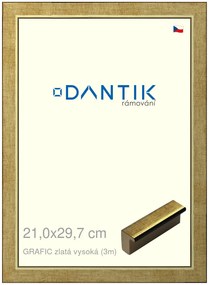 DANTIK rám na obraz 21x29,7 | GRAFIC zlatá vysoká (Sklo Čiré)