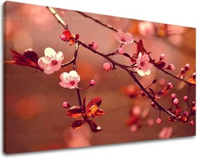 Obraz na stenu KVETY KV032E11 - 40x60 cm