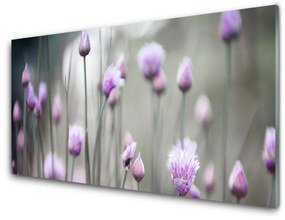 Obraz plexi Poľné kvety lúka príroda 120x60 cm