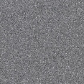 Dlažba Rako Taurus Granit sivá 20x20 cm mat TAA25065.1