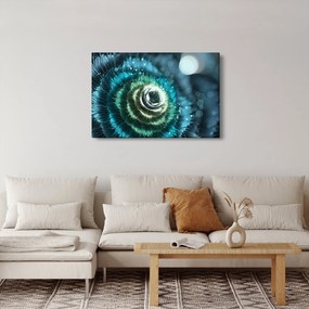 Obraz - Kvet v detaile (90x60 cm)