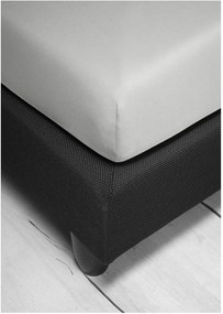 Bierbaum jersey plachta sv. sivá - 140-160 x 200 cm