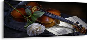 Obraz - Ruže a husle (120x50 cm)
