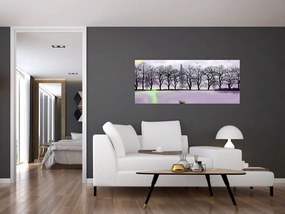 Obraz - Pramice na jazere (120x50 cm)