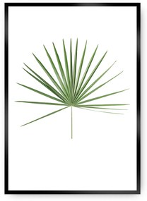 Plagát Tropical Leaf Green