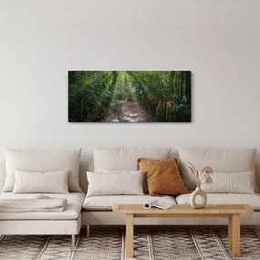Obraz - Slnečné lúče v džungli (120x50 cm)