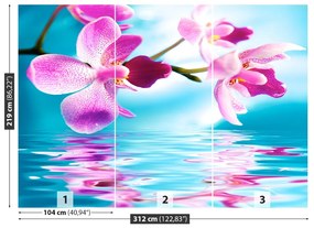 Fototapeta Vliesová Voda orchidea 208x146 cm