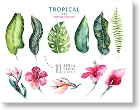 Obraz na stenu s textom Tropical set flamingo | rôzne rozmery
