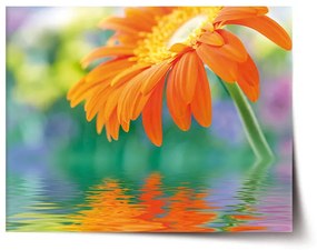 Sablio Plagát Oranžová gerbera - 60x40 cm