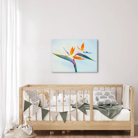 Obraz kvetu Strelícia (70x50 cm)