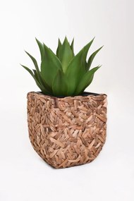 Kvetináč WILD, vodný hyacint, výška 40 cm, natur