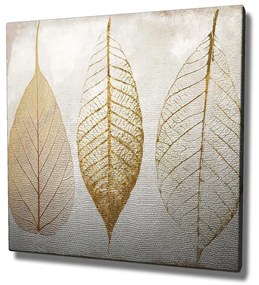 Obraz Gold Leaves 45x45 cm
