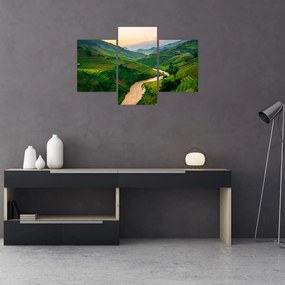 Obraz - Ryžové terasy II. (90x60 cm)