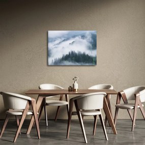 Obraz - Stromy v hmle (70x50 cm)