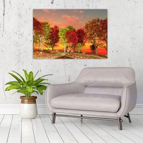 Obraz - Farebné stromy (90x60 cm)