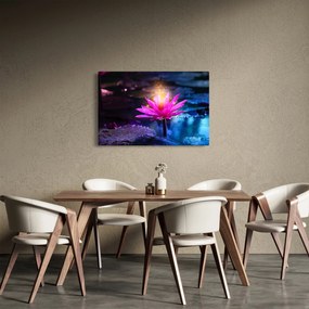 Obraz lekna na vode (90x60 cm)