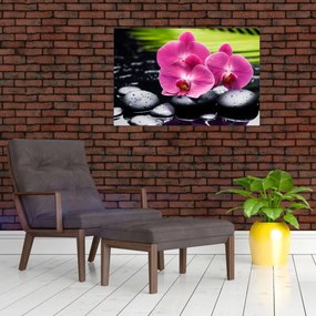 Obraz - Ružové orchidey s palmovým listom (90x60 cm)