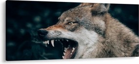 Obraz vlka (120x50 cm)