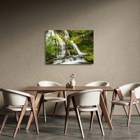 Sklenený obraz - Vodopád, Wind River Valley (70x50 cm)