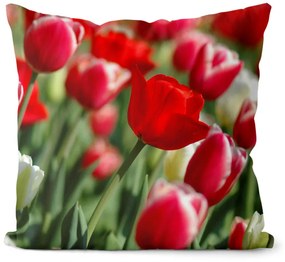 Vankúš Tulipán (Veľkosť: 40 x 40 cm)
