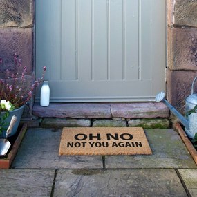 Rohožka z kokosového vlákna 40x60 cm Not You Again – Artsy Doormats
