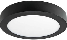 LED Stropné svietidlo FENIX LED/12W/230V 2800K pr. 17 cm