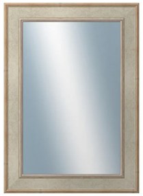 DANTIK - Zrkadlo v rámu, rozmer s rámom 50x70 cm z lišty TOOTH strieborná (2779)