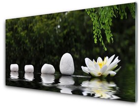 Obraz na skle Kamene kvet umenie 140x70 cm