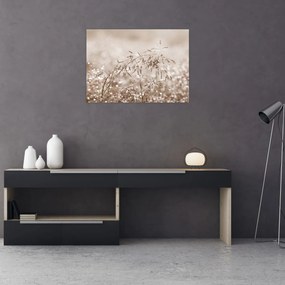 Obraz - Lúka v hnedých tónoch (70x50 cm)