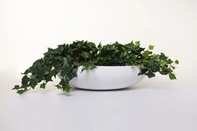 Okrasná miska PLANA, sklolaminát, 11xØ43 cm, biela