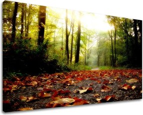 Obraz na stenu STROMY