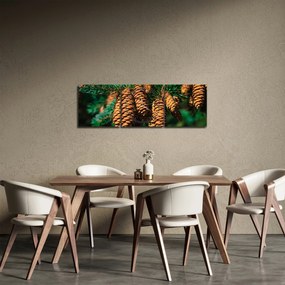 Obraz šišiek (s hodinami) (90x30 cm)