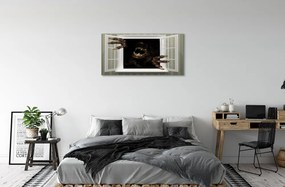 Obraz canvas Okno hrozná forma 120x60 cm