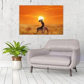 Obraz - Žirafy v národnom parku Serengeti (90x60 cm)