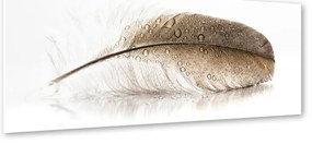 Obraz Styler Glasspik Wings, 50 × 125 cm