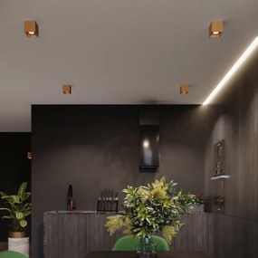 Sollux Sl.1183 - Nástenné bodové svietidlo QUAD 1xG9/8W/230V zlatá