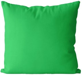 Vankúš Zelený svetlý  (Veľkosť: 55 x 55 cm)