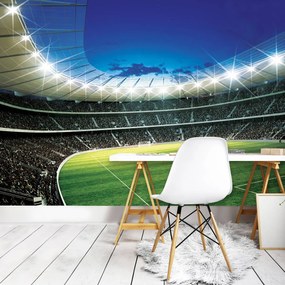Fototapeta - Futbal (254x184 cm)