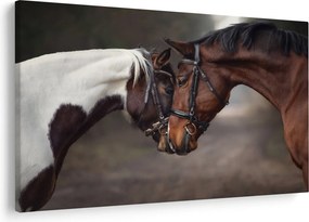 Obraz - Zamilované kone (90x60 cm)